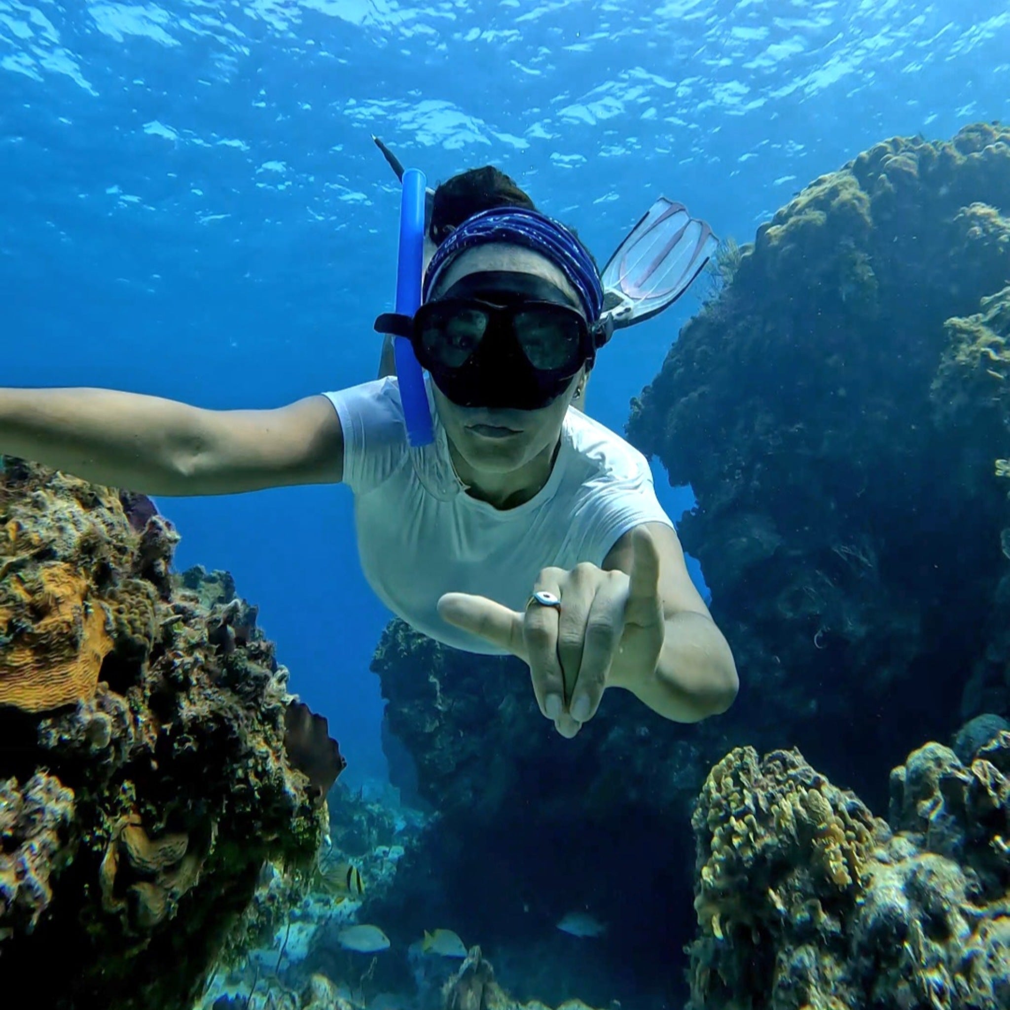 Snorkeling Experience - Beyond the Experience® - On - Board service